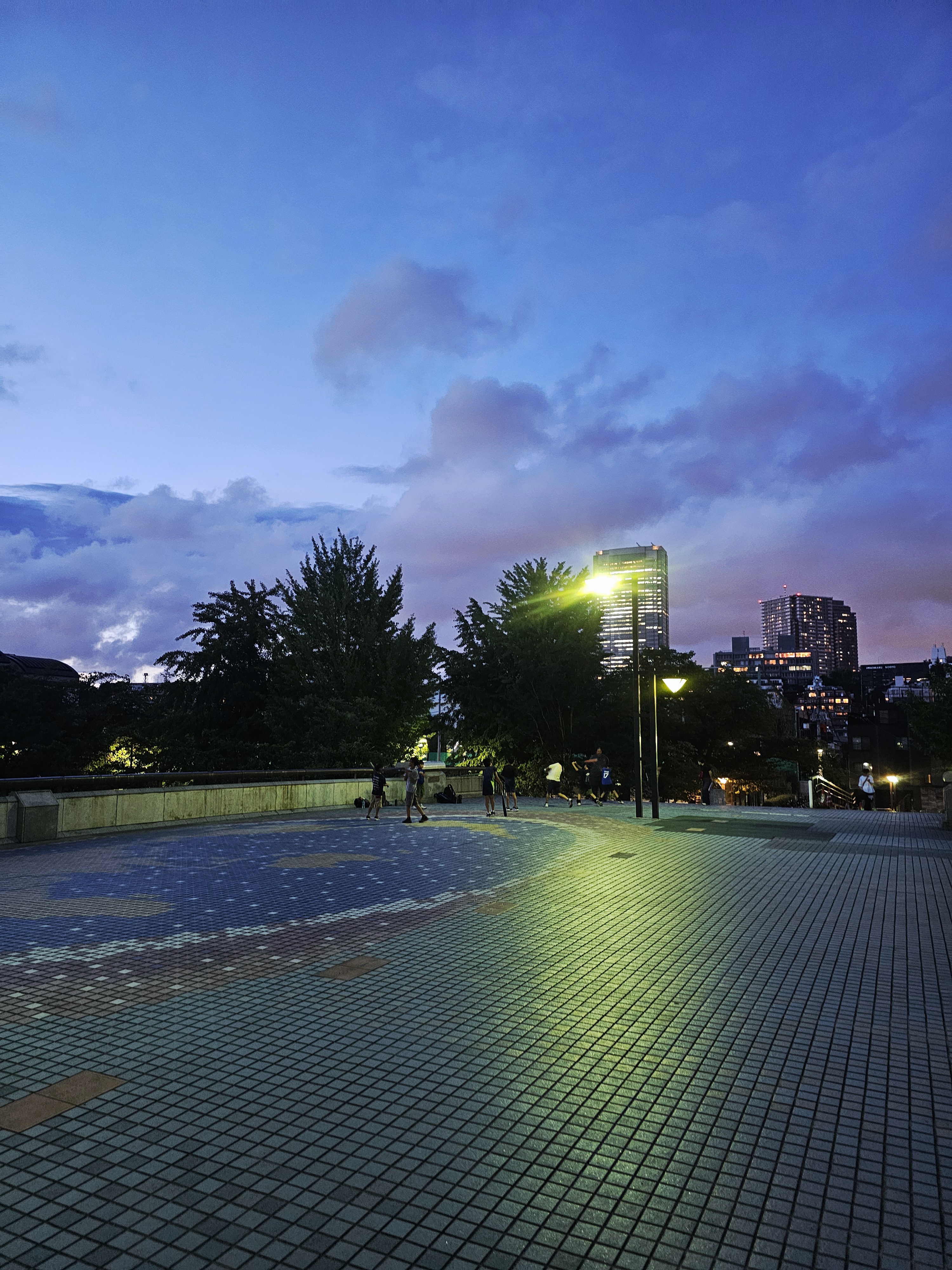 Children practicing baseball on a tiled path under the sunset sky in Tokyo.