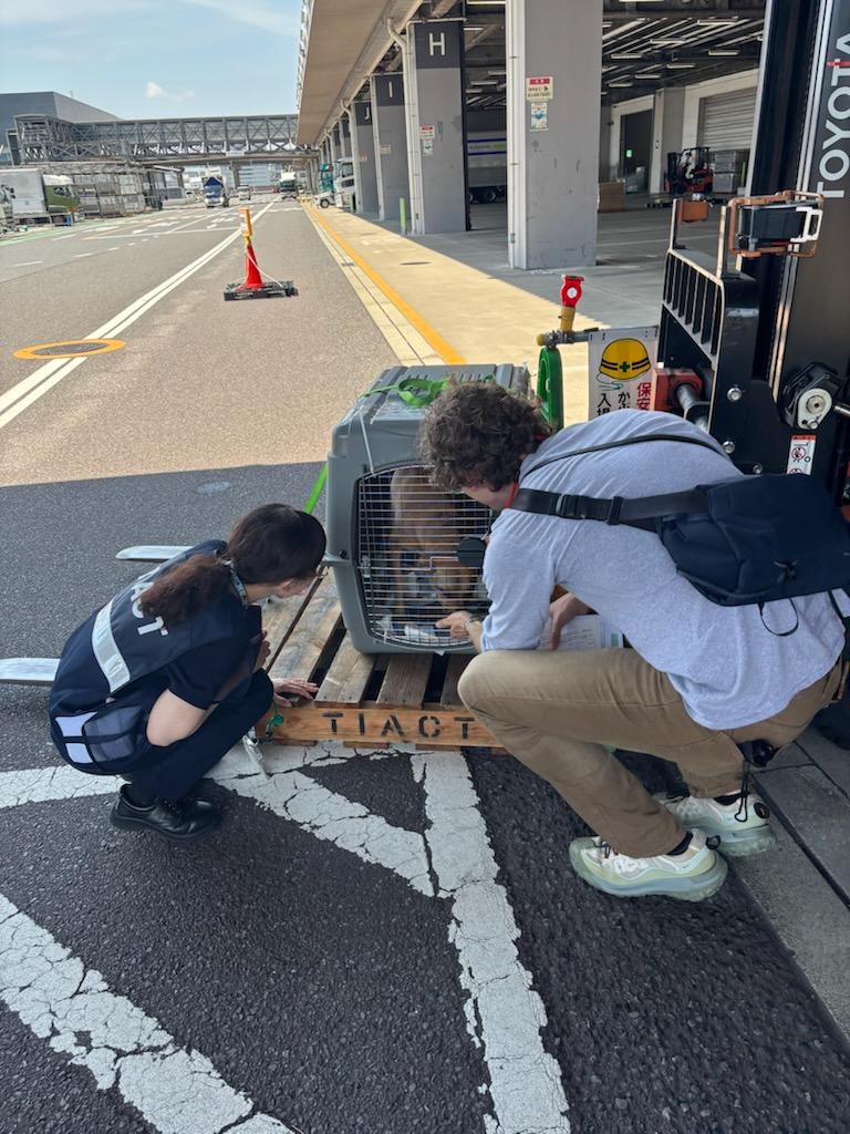 Two people crouch on concrete in front of a dog in a dog crate attached to a pallet.
